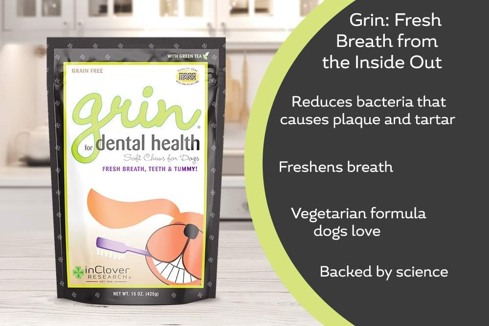 In Clover Natural Dental Treat, Grin, Fresh Breath Dog Chew Treat with Prebiotics, Fresh Breath Tartar Control, Daily Chew Supplement for Dogs Supports Dog Gums and Teeth 5
