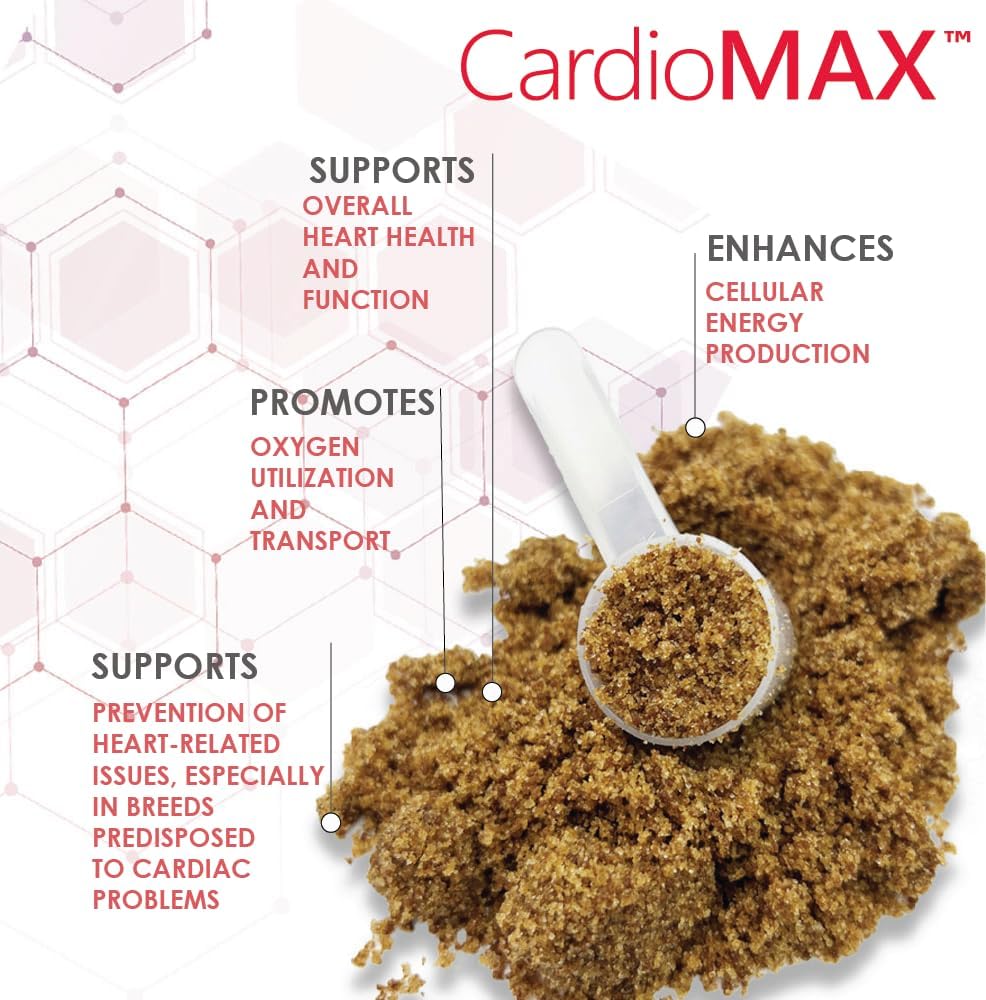 Heart Support Granules for Dogs – Vet-Formulated, Antioxidant-Rich- L-Taurine, L-Carnitine, EPA, DHA, CoQ10- Aids Circulatory Strength, Cardiovascular Support, Heart Muscle Function-USA Made- 90 Doses 3