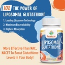 2400MG Liposomal Glutathione, with Vitamin C, Milk Thistle & Alpha-Lipoic Acid, Master Antioxidants, Pure Reduced L-Glutathione - Immune System, Cell Repair, Energy, High Absorption, 180 Softgels 5