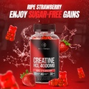 Creatine HCL Gummy - World's First 4000MG Creatine HCL Gummies 90 Count (90 Count) 6