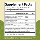 Mushroom Almaneac Nootropics Brain Support Supplement, Boosts Energy, Focus, Immune Support - with Lions Mane, Cordyceps, Turkey Tail, Shiitake Mushrooms - 60 Capsules 3