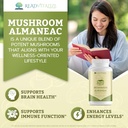 Mushroom Almaneac Nootropics Brain Support Supplement, Boosts Energy, Focus, Immune Support - with Lions Mane, Cordyceps, Turkey Tail, Shiitake Mushrooms - 60 Capsules 4