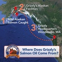 Grizzly Salmon Plus Omega Fatty Acids Food Supplement for Dogs & Cats (Various Sizes) - Wild-Sourced Omega 3-6-9, Wild Alaskan Salmon Oil (64 Fl Oz) 5