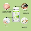 Conception Fertility Supplement for Women | Female Fertility Support | Promotes Ovulation, Regular Cycle, Hormonal Balance | CoQ10, 400µg Methylfolate (Folic Acid), Inositol, Iron, Selenium, Zinc, etc 5