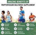 1200 MG Thunder God Vine Root Extract 20:1 Supplement, Tripterygium Wilfordii Herbal Supplement, Vegan Formula with Lei Gong Teng Extract, 60 Capsules 6