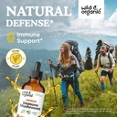 Wild & Organic Mood Support Tincture 4 fl oz & Immune Mushroom Tincture 5