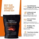 Intelligent Labs Hydrolyzed Type 1 and 3 Collagen Peptide Granules, Collagen Powder Unflavored, Keto and Paleo-Friendly, Third-Party Verified For Purity, 11g per Serving, 30 Servings a Pouch 4