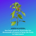 organic-ashwagandha-capsules-with-black--4.jpg