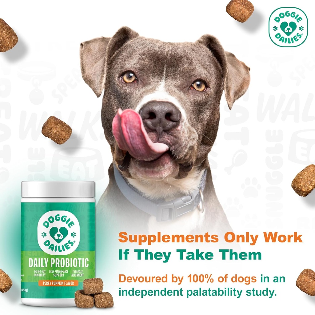 Doggie Dailies Probiotics for Dogs - Advanced Dog Probiotics with Prebiotics - Promotes Digestive Health - Supports Immune System and Overall Health (Pumpkin) 225 Soft Chews 3
