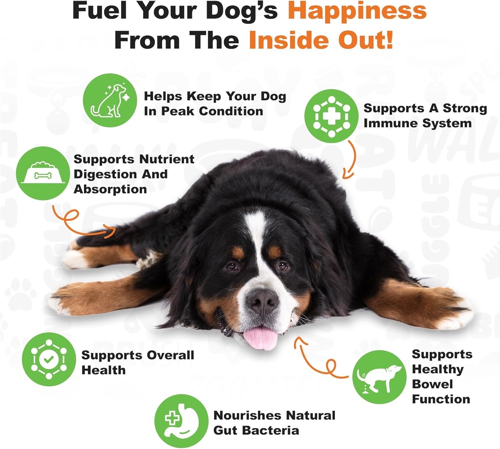 Doggie Dailies Probiotics for Dogs - Advanced Dog Probiotics with Prebiotics - Promotes Digestive Health - Supports Immune System and Overall Health (Pumpkin) 225 Soft Chews 4