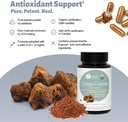 Herbal Treasure Chaga Mushrooms Powder Capsules, Mushroom Supplement for Functional Mushrooms, Chaga Mushroom Capsules for Energy, & Immune Support, Organic Mushroom Supplement 90 Caps 3