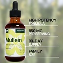 Mullein Leaf 4 fl oz Liquid Extract - Natural Lung Cleanse & Detox Supplement - Respiratory Health and Immune Support Tincture - Family Size - High Potency Drops - 90-Day Supply 6