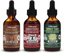LIFE CYKEL AM Bundle- Energy Support, Immune System Support, Hair Skin & Nails Health- 100% Organic Mushrooms- Cordyceps Turkey Tail & Shiitake w/ Kakadu Plum, Made in the US, Non-GMO - 3 ct(2oz each) 2