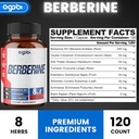 agobi 120 Capsules - Berberine Supplement with Ceylon, Milk Thistle, Turmeric, Elderberry & Black Pepper - 4 Month Supply 3
