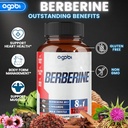 agobi 120 Capsules - Berberine Supplement with Ceylon, Milk Thistle, Turmeric, Elderberry & Black Pepper - 4 Month Supply 4