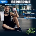 agobi 120 Capsules - Berberine Supplement with Ceylon, Milk Thistle, Turmeric, Elderberry & Black Pepper - 4 Month Supply 6