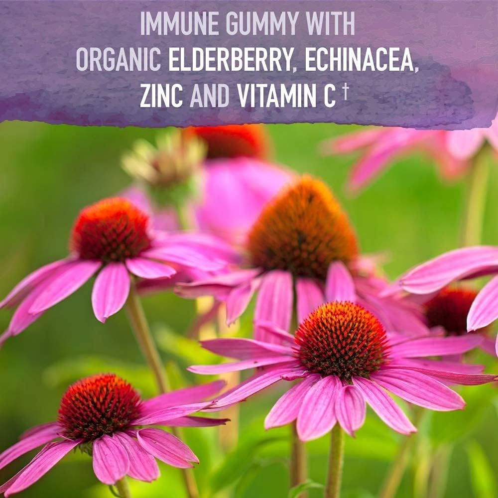 Garden of Life Organics Elderberry Gummies for Adults & Kids - Immune Support Supplement with Organic Fruit & Organics Turmeric Inflammatory Response Gummy - 120 Real Fruit Gummies for Kids & Adults 4