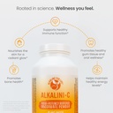 Alkalini-C Vitamin C Powder Supplement, Potent Natural L-Ascorbate Vit C Powder 1500mg, Corn-Free Non-GMO VIT C, Buffered Vitamin C Enhanced Absorption, 100% Pure Form, Immune Support Supplement 16oz 6