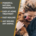 Absorbine Silver Honey Hot Spot & Wound Care Spray Gel 8oz Bottle, Manuka Honey & MicroSilver BG, Medicated for Dogs, Cats, Small Animals 3
