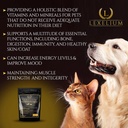 Holistic Multivitamin Supplement for Dogs and Cats - Complete 12-in-1 Plant-Based Vitamins & Minerals for Skin, Coat, Digestion, Bones, and Immunity - Omega-3 Fish Oil, Vitamin Mineral Complex - 200G 3