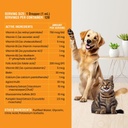 10-in-1 Liquid Multivitamin for Dogs and Cats, 2 Ounce Multi Vitamin Supplement, Vitamin for Dogs, Vitamins for Cats, with Glucosamine & Cranberry, 2 oz 6