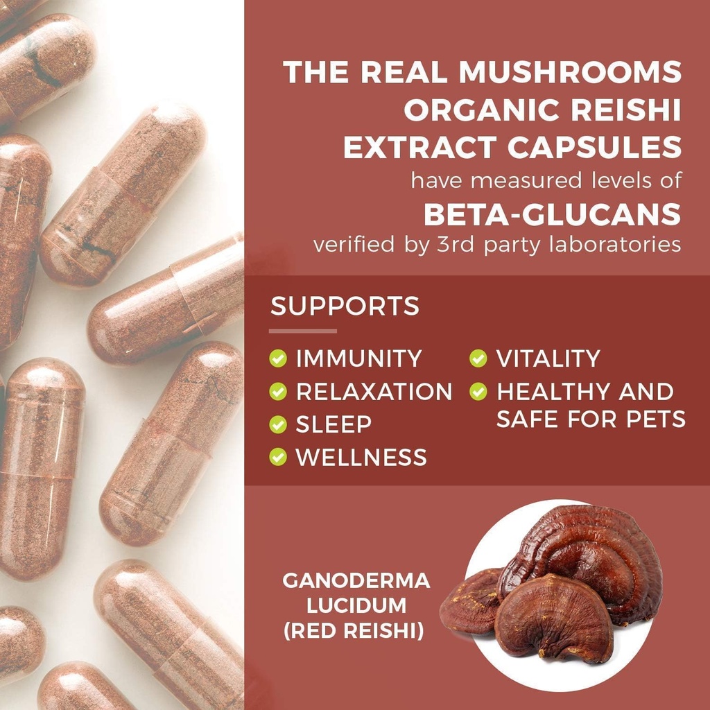 Real Mushrooms Ergothioneine (60ct) and Reishi 415 (90ct) Bundle with Shiitake and Oyster Mushroom Extracts - Longevity and Relaxation -Vegan, Gluten Free, Non-GMO - Natural Support for Healthy Aging 4