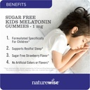 NatureWise Kids Melatonin 1 mg Sugar-Free Gummies for Children Ages 4 & Up - Non-Habit Forming Sleep Aid - Strawberry Flavored - Vegan, No Gluten, Non-GMO - 90 Count[3-Month Supply] 3