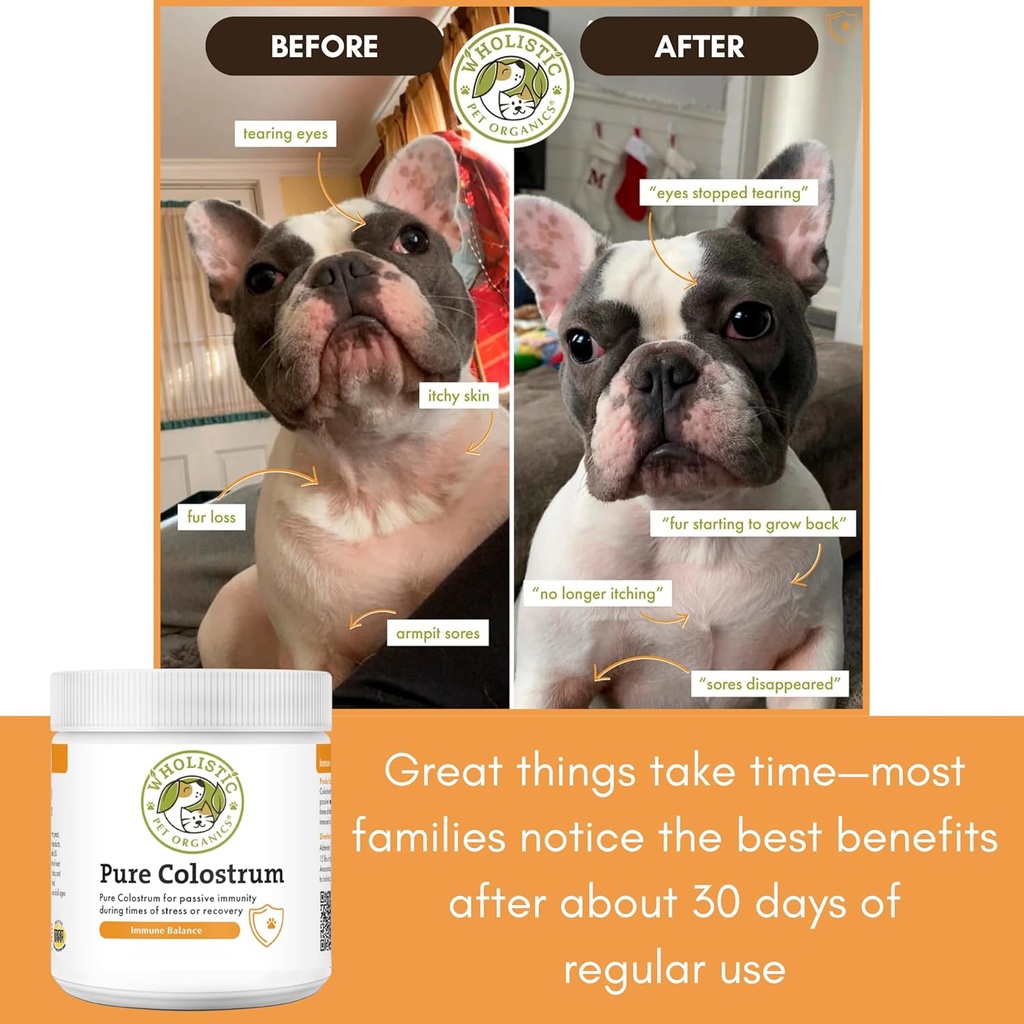 Wholistic Pet Organics Bovine Colostrum Powder - 1 Oz - Seasonal Dog Allergy Relief - Itch Relief for Dogs - Natural Anti Itch Supplement for Dogs - Made in USA - Alternative to Dog Allergy Chews 6