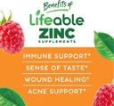 Lifeable Zinc 25mg Kids + Probiotics 5 Billion Kids, Gummies Bundle - Great Tasting, Vitamin Supplement, Gluten Free, GMO Free, Chewable Gummy 5