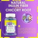 Fiber Gummies for Adults 8g (Inulin, Psyllium Husk, FOS More) with Probiotics, Green Tea Extract, Sugar Free Plant Based Fiber Supplement Blend for Digestive Health, Regularity, Non-GMO, Vegan, 120Cts 4