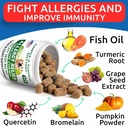 Allergy Relief Dog Treats + Dog Probiotics Chews Bundle - Omega 3 + Pumpkin + Enzymes for Itchy Skin Relief + Digestive Enzymes + Prebiotics for Gas, Diarrhea, Constipation, Upset Stomach Relief 6