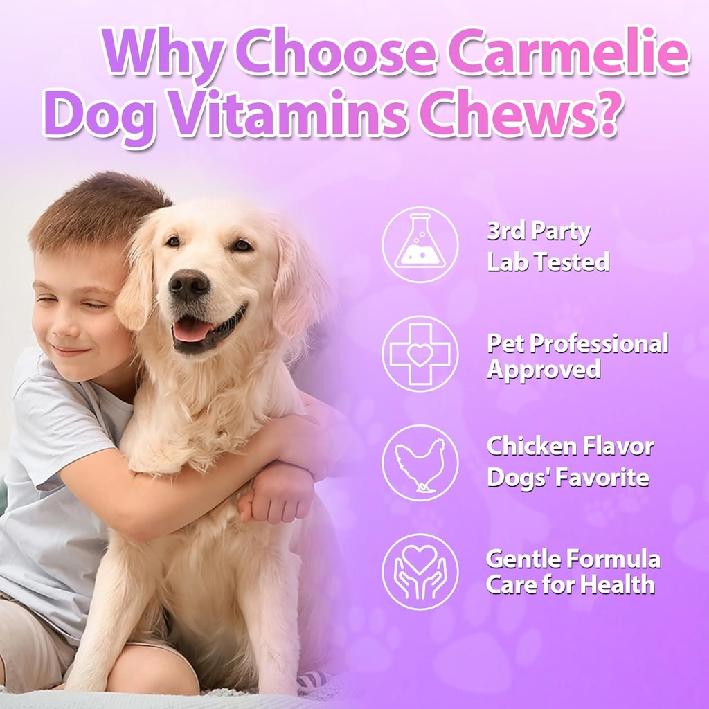 Dog Vitamins, 24 in 1 Dog Vitamins and Supplements 200 Chews with Glucosamine Probiotics Omega-3 Dog Multivitamins Chewable for Hip & Joint, Skin & Coat, Immune Health, Digestive (Chicken) 6
