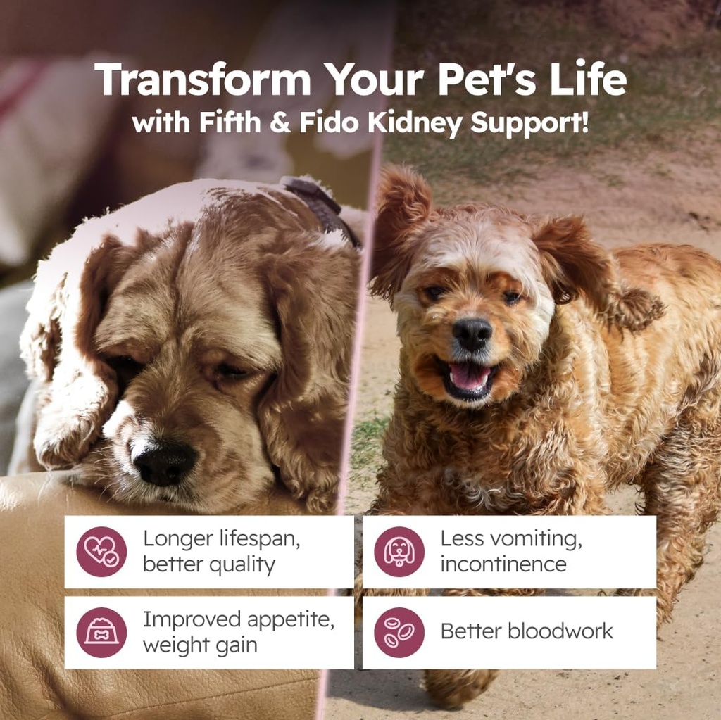 Adrenal Support Drops for Dogs – Herbal Liquid Supplement with Licorice, Milk Thistle, Astragalus, Eleuthero & Rhodiola – Helps Maintain Normal Cortisol, Energy & Organ Function – 2 fl oz 4
