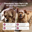 Adrenal Support Drops for Dogs – Herbal Liquid Supplement with Licorice, Milk Thistle, Astragalus, Eleuthero & Rhodiola – Helps Maintain Normal Cortisol, Energy & Organ Function – 2 fl oz 4