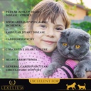 Heart Supplement for Dogs and Cats - Provides Cardiovascular & Circulatory Support & Keeps Hearts Healthy with Taurine – Optimizes Heart Function & Circulation - Easy to Mix Powder - 200g 4