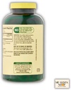 Spring Valley Cinnamon 1000 mg Dietary Supplement, 400 Count Capsules with Pill Organizer 3