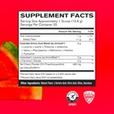 BARE PERFORMANCE NUTRITION BPN Recover & G1M Fruit Punch Bundle 4