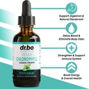 Colon Cleanser Detox & Chlorophyl Liquid Drops - 15 Day Colon Cleanse Pills with Ginger, Liquid Chlorophyll Drops Body Odor Internal Deodorant - Poop Bowel Movement Supplements Intestinal Gut Support 4