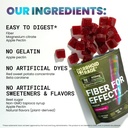 Fiber and Magnesium Gummies, Supports Digestive Health, Relieves Constipation, Helps Prevent Hemorrhoids, Has Both Soluble and Insoluble Fiber, Made in USA, 60 ct (3) 4
