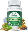 Sea Moss Black Seed Oil Capsules - Supplements with Seamoss, Ashwagandha, Burdock Root, Ginger & Multimineral for Immune & Digestive Support, Improve Energy for Men & Women - 60 Capsules 2