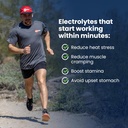 SaltStick Electrolyte FastChews - 120 Count Mixed Berry Flavor - Electrolyte Tablets for Hydration, Salt Tabs - 10 Count (Pack of 12) 4