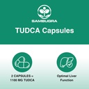TUDCA Supplements 1100mg - Advanced Ultra Strength Bile Salt TUDCA Support, 3rd Party Tested TUDCA Liver Supplements for Liver Cleanse Detox and Repair, 360 Capsules (Pack of 6) 6