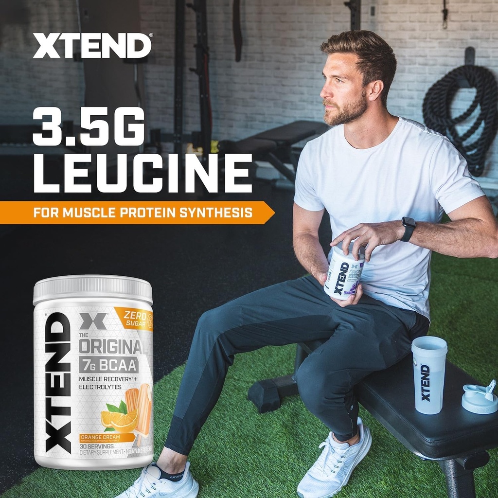 Xtend Original BCAA Powder 7g BCAA and 2.5g L-Glutamine, Sugar Free Post Workout Muscle Recovery Drink with Amino Acids for Men & Women, 30 Servings 5