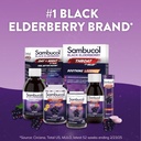Sambucol Black Elderberry Throat Lozenges - Elderberry Cough Drops for Adults, Elderberry Zinc Lozenges Throat, Elderberry Lozenges - 20 Count 6