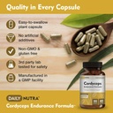 Cordyceps Endurance Formula Natural Energy Supplement - Caffeine Free | Organic Mushroom Extract with KSM-66 Ashwagandha, Eleuthero & Rhodiola (90 Capsules) 5