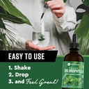 360 Nutrition Chlorophyll Liquid Drops with Peppermint Oil, GF & Vegan Body Internal Deodorant Supplement, Supports Gut Health, Digestion, Energy, Radiant Skin, Fast Absorption (4 Fl Oz (1 Count)) 5