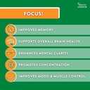 health-logics-focus---brain-supplement-f-5.jpg