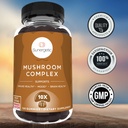 sunergetic-premium-mushroom-gummies-supp-5.jpg