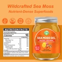 sea-moss-gel-raw-flavored-irish-seamoss--2.jpg