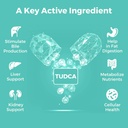 tudca-bile-salts-supplement-1000mg---120-5.jpg